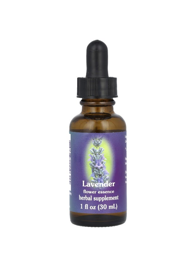 Flower Essence Services, Flower Essence, Lavender, 1 fl oz (30 ml) (Packaging may vary) - Image 1