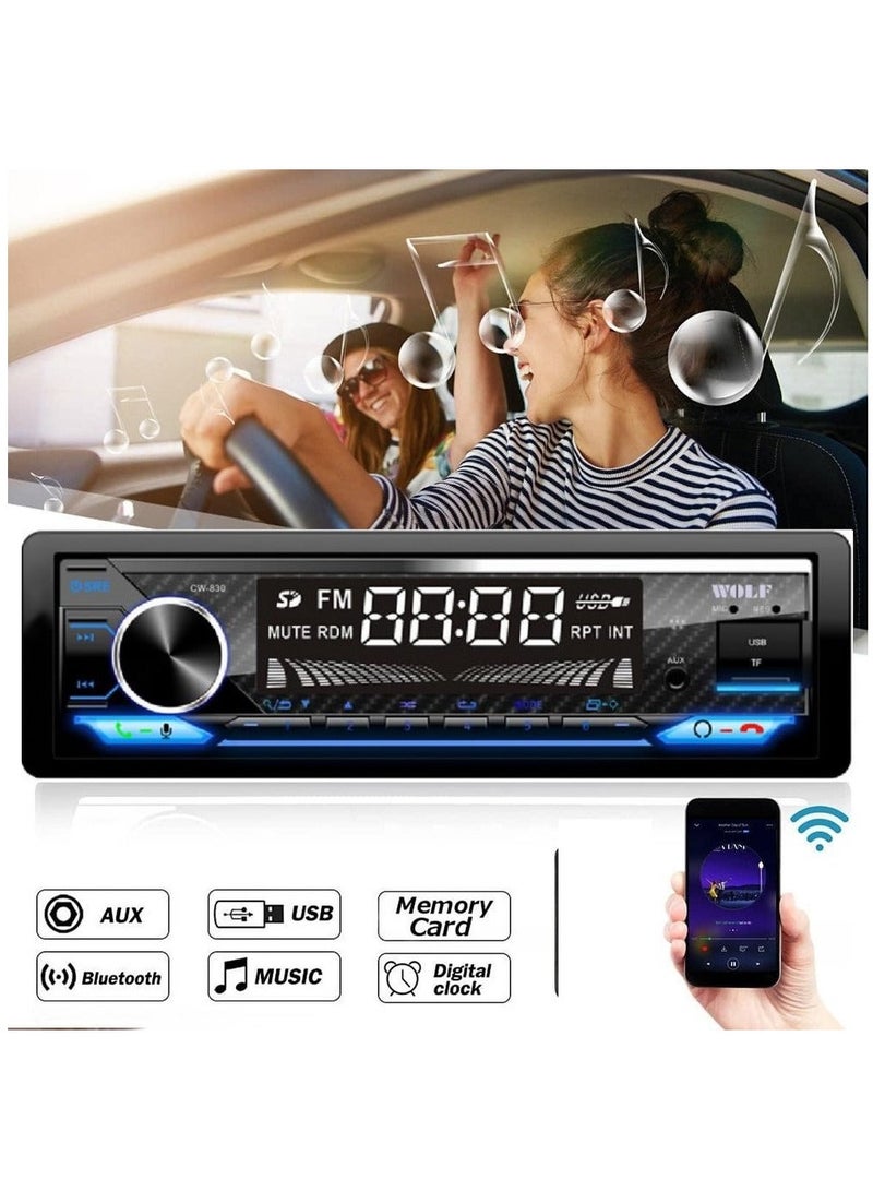 Wolf Bluetooth Car Cassette – CW 830 - Image 2