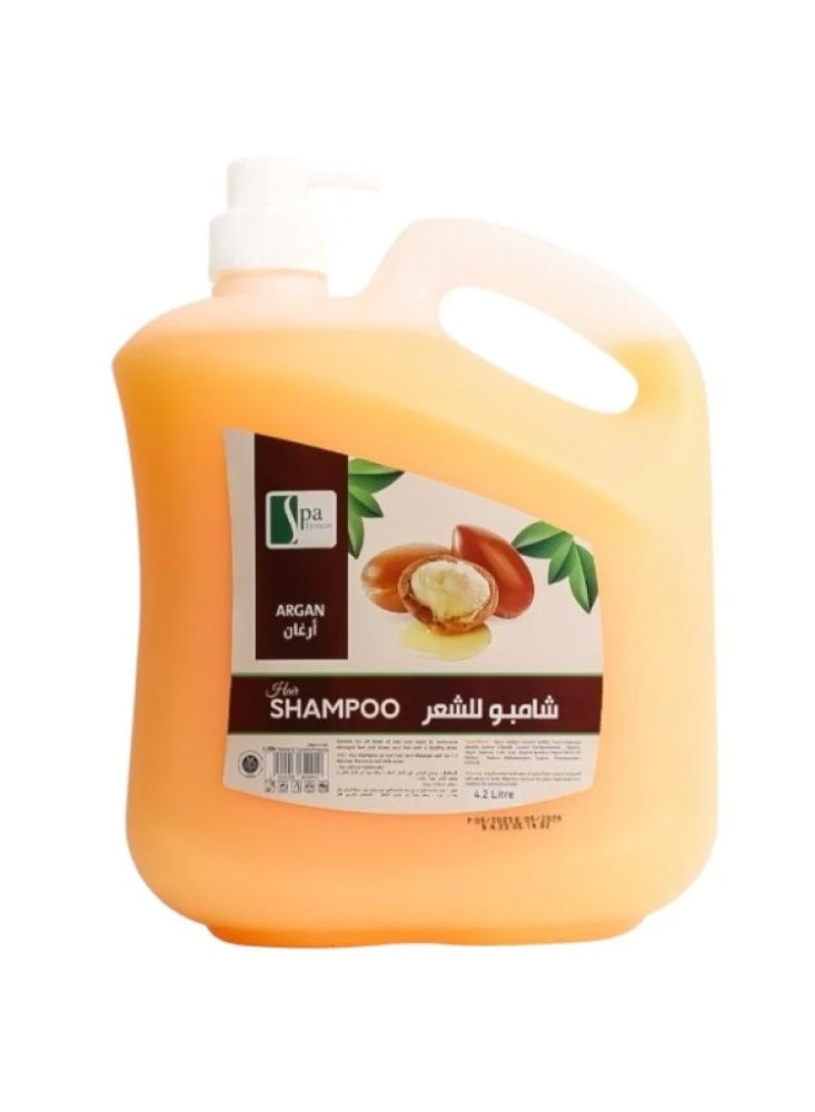 Argan Hair Shampoo, 4.2L