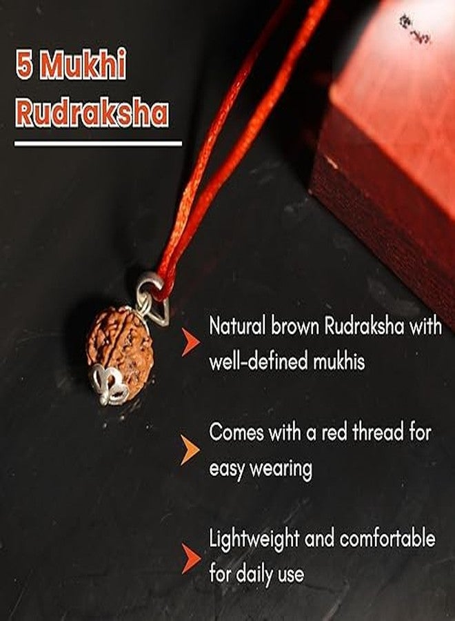 SIDHARTH GEMS 12 MukhiGauri Shankar Original Certified Gaurishankar Rudraksh Nepali Blessing Lord Shiva Rudraksha Natural Gori Pendant Locket [SIDHARTH7660] - Image 5