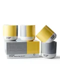 Pantone Yellow Gray