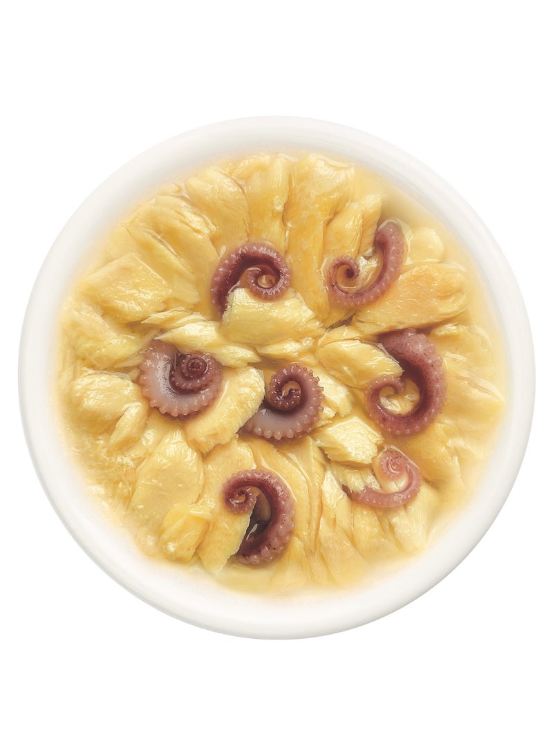 Cat Fest CatFest Salmon with Octopus in Tender Jelly, Gourmet Wet Cat Food, High Protein, Grain-Free, 70g Pouch  - Image 2