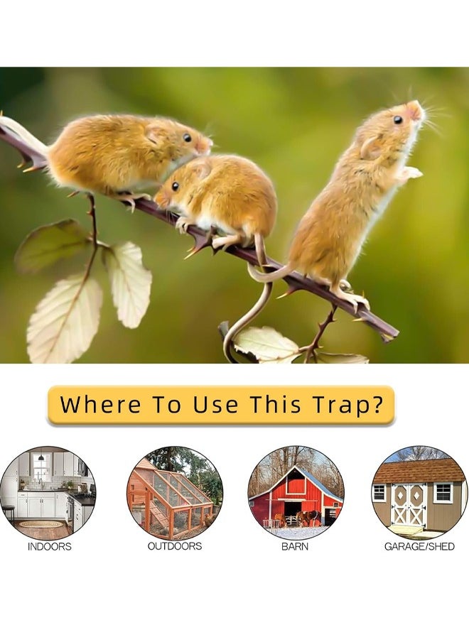 Mouse Trap Bucket Mouse Trap - Flip and Slide Mouse Trap Bucket Lid Mouse Trap Rat Trap - Multi Catch Indoor Outdoor - Auto Reset - 5 Gallon Bucket Rat Trap Bucket flip lid