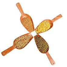 looms & weaves - Neem Wood Scoop Spoon - to Gauge Flours/Rice/Sugar/Ice Creams etc – Set of 4 - Image 1