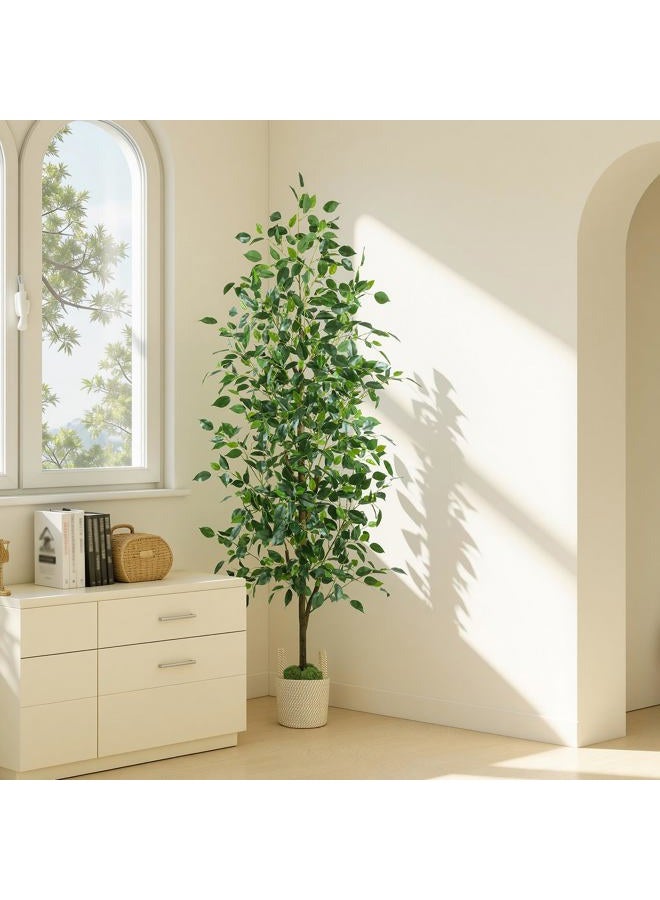 Caxchiling Artificial Ficus Tree 6ft - Image 5
