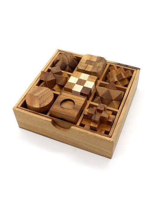 Fun Games For Adults 3D Wooden Puzzle Brain Teasers And Educational Games In Set Of 9 Wooden Puzzles To Challenging Puzzles For Adults And Brain Games For Kids Suit For Living Room (9 Puzzle Set)