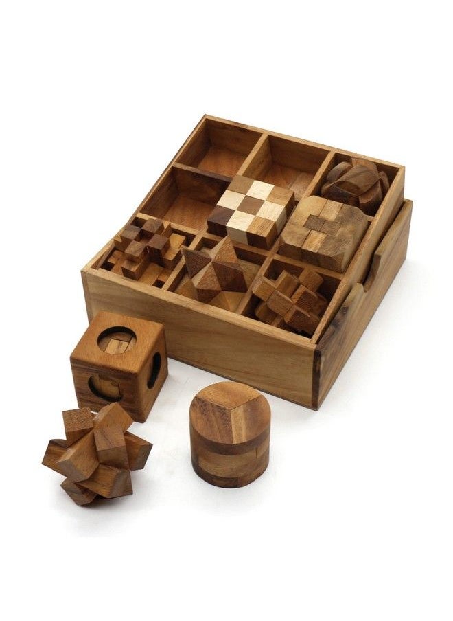 Fun Games For Adults 3D Wooden Puzzle Brain Teasers And Educational Games In Set Of 9 Wooden Puzzles To Challenging Puzzles For Adults And Brain Games For Kids Suit For Living Room (9 Puzzle Set)