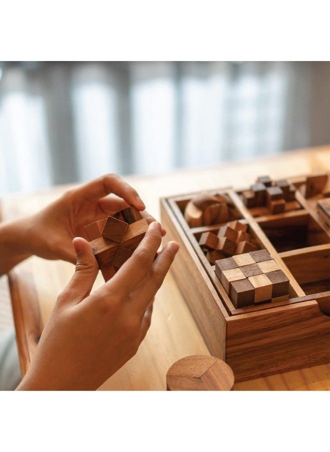 Fun Games For Adults 3D Wooden Puzzle Brain Teasers And Educational Games In Set Of 9 Wooden Puzzles To Challenging Puzzles For Adults And Brain Games For Kids Suit For Living Room (9 Puzzle Set)