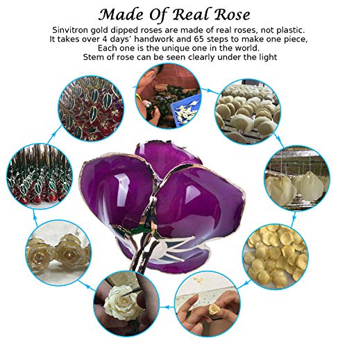 Sinvitron Gold Dipped Infinity Rose Forever Flower Decor, Resin Preserved Real Rose Birthday Gift for Women, Anniversary Present for Mom (Purple) - Image 4