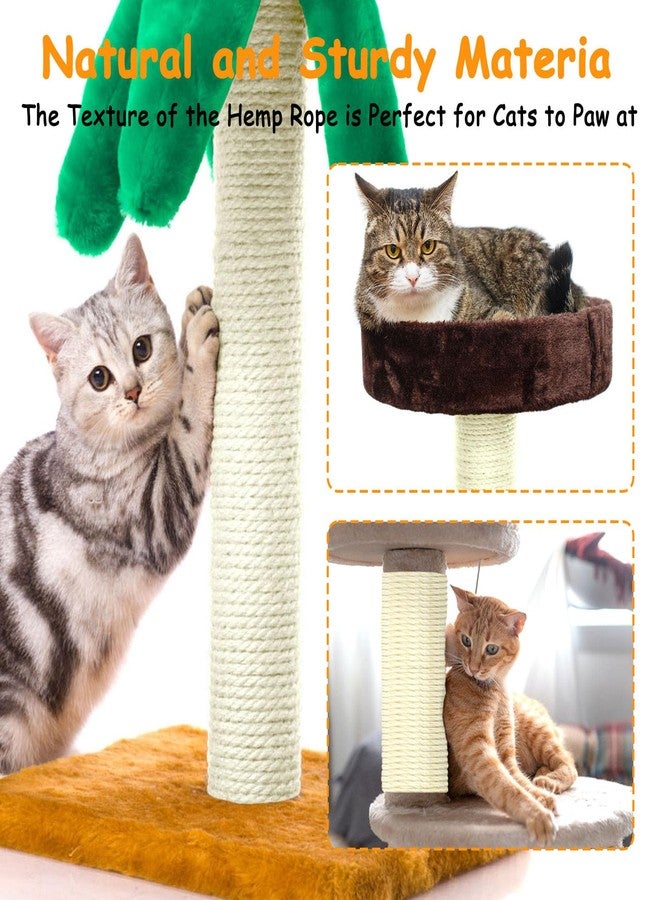 AccEncyc Sisal Rope for Cat Scratcher 1/4" Diameter 328 FT Cat Natural Sisal Rope for Repairing Cat Scratching Post Cat Tower Repair Rope Cat Tree Rope Replace Recovering and DIY - Image 5