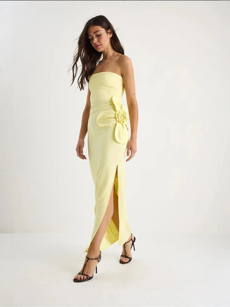 بيانكو لوتشي فستان ماكسي بدون حمالات بطبعة زهور مع تفاصيل فيونكة