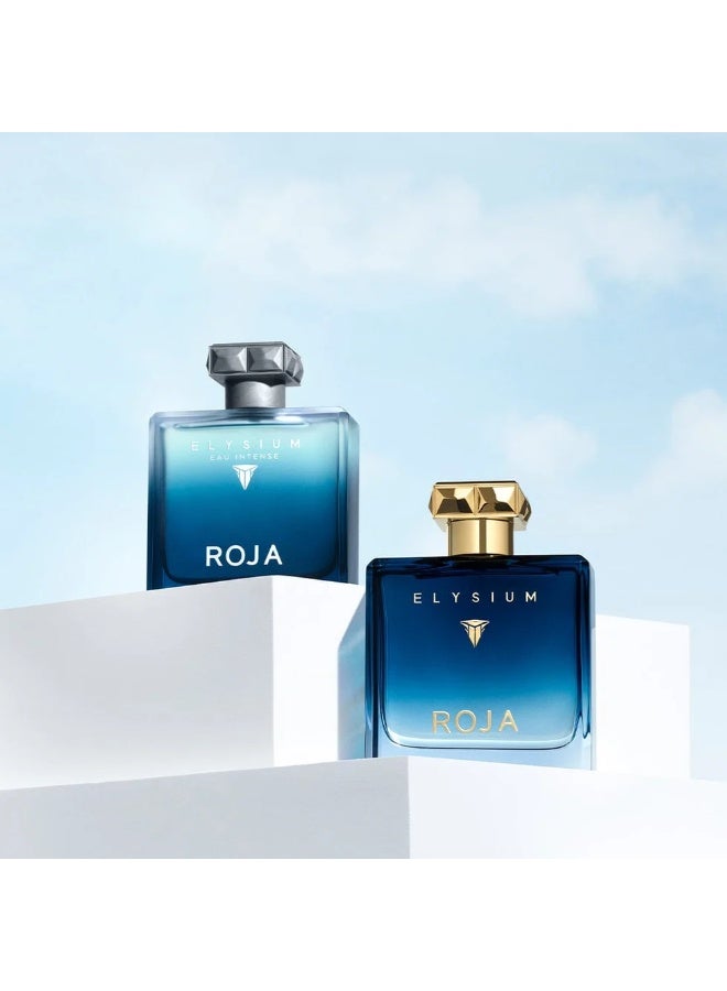 روجا للعطور إليسيوم بور أوم للرجال أو دو بارفان 100 مل - Image 2
