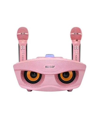 Wireless Bluetooth Speaker With 2 Piece Rechargeable Mic - pzsku/ZAF5A0B990434369B4310Z/45/_/1667312459/79c5dfcc-1254-4092-bb8a-2faa96edaba4