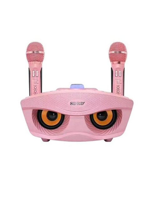 Wireless Bluetooth Speaker With 2 Piece Rechargeable Mic