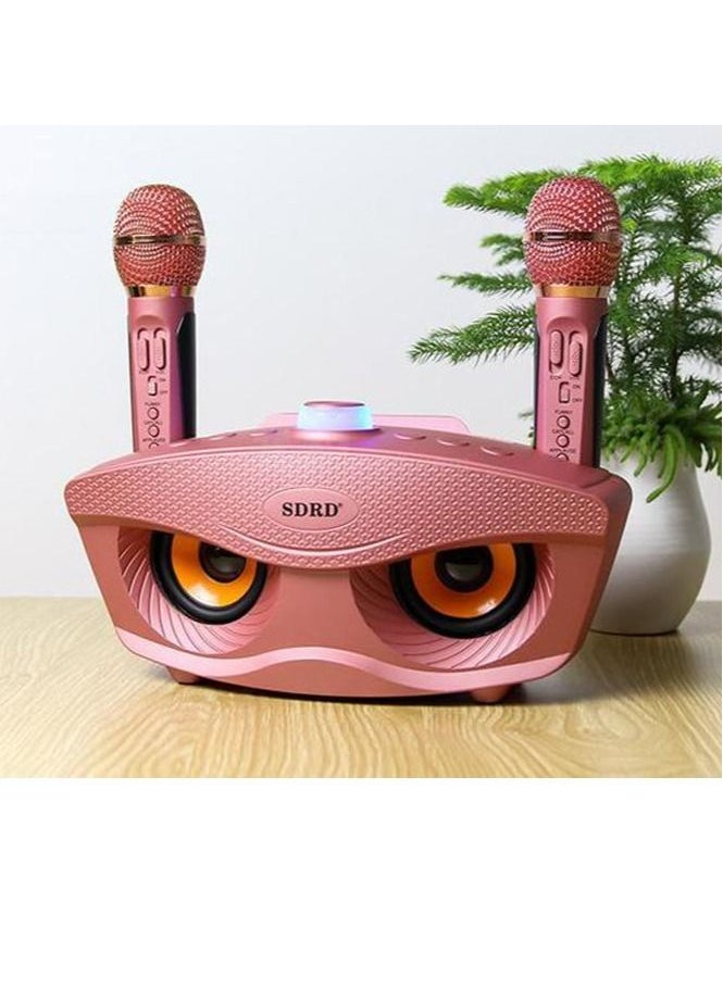 SDRD Wireless Bluetooth Speaker With 2 Piece Rechargeable Mic  - Image 2