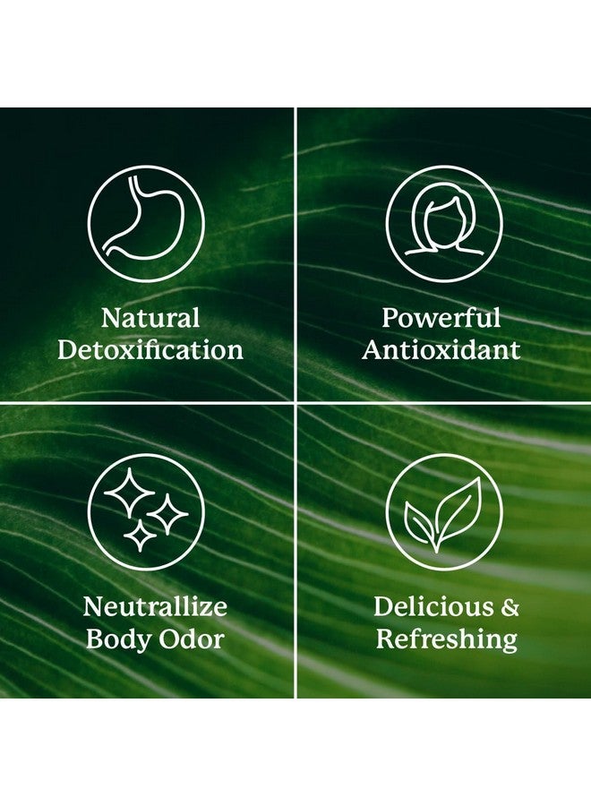 NATURE'S SUNSHINE عبوات عصا الكلوروفيل من Nature's Sunshine: زود عملية التخلص من السموم وصحة الأمعاء في عبوات عصا لذيذة ومريحة (تفاح مقرمش) - Image 5