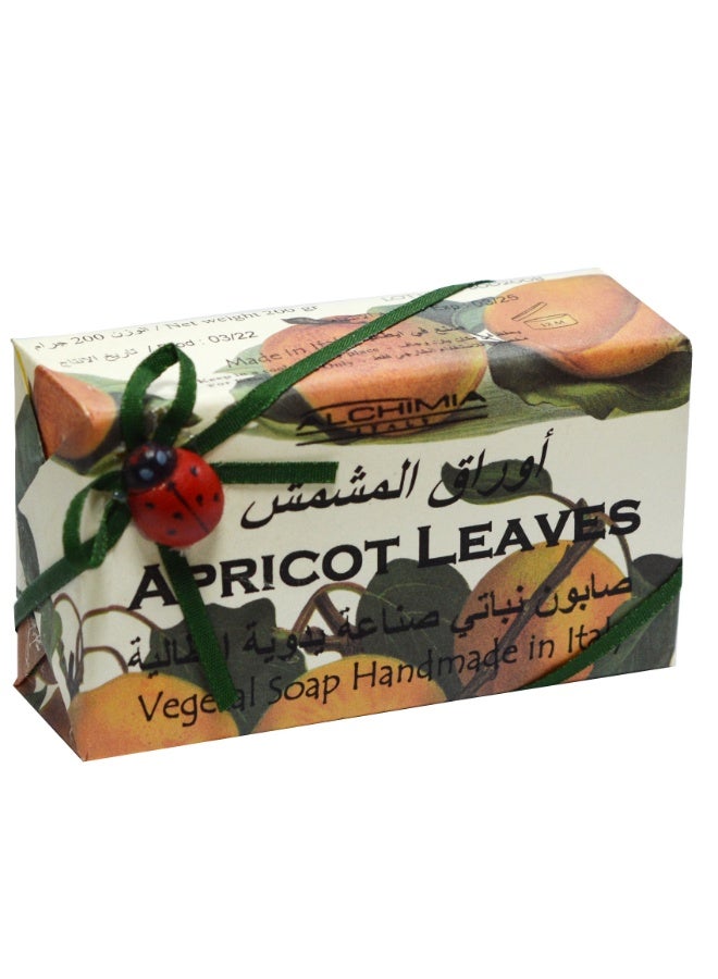 Alchimia Vegetal Soap Apricot Leaves 200G  | Refreshing Italian Soap | Green and Fruity Fragrance | Uplifting scent| Gentle for All Skin Types - Image 1