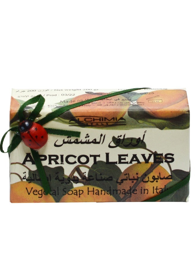 Alchimia Vegetal Soap Apricot Leaves 200G  | Refreshing Italian Soap | Green and Fruity Fragrance | Uplifting scent| Gentle for All Skin Types - Image 2