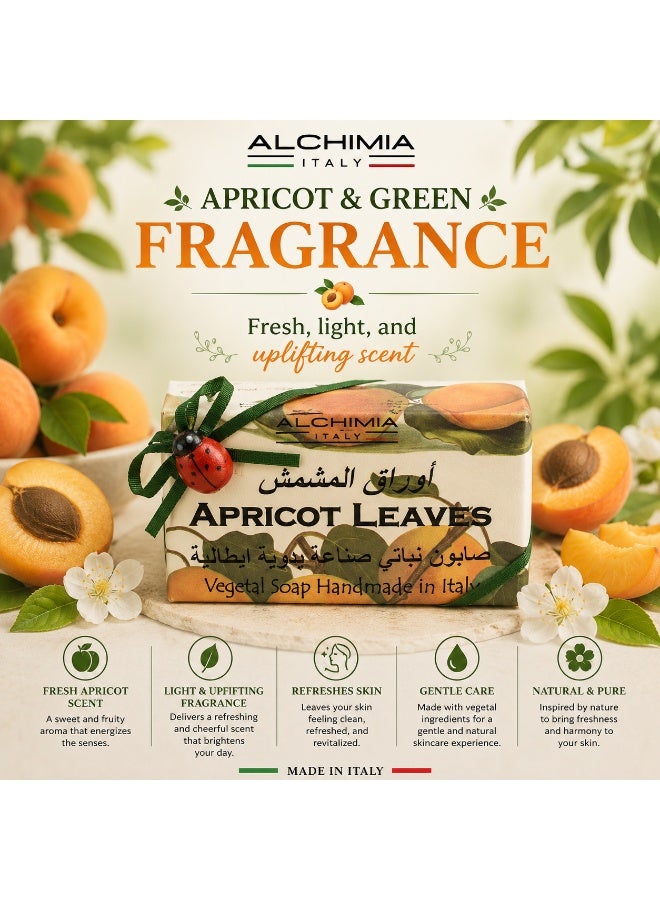 Alchimia Vegetal Soap Apricot Leaves 200G  | Refreshing Italian Soap | Green and Fruity Fragrance | Uplifting scent| Gentle for All Skin Types - Image 4