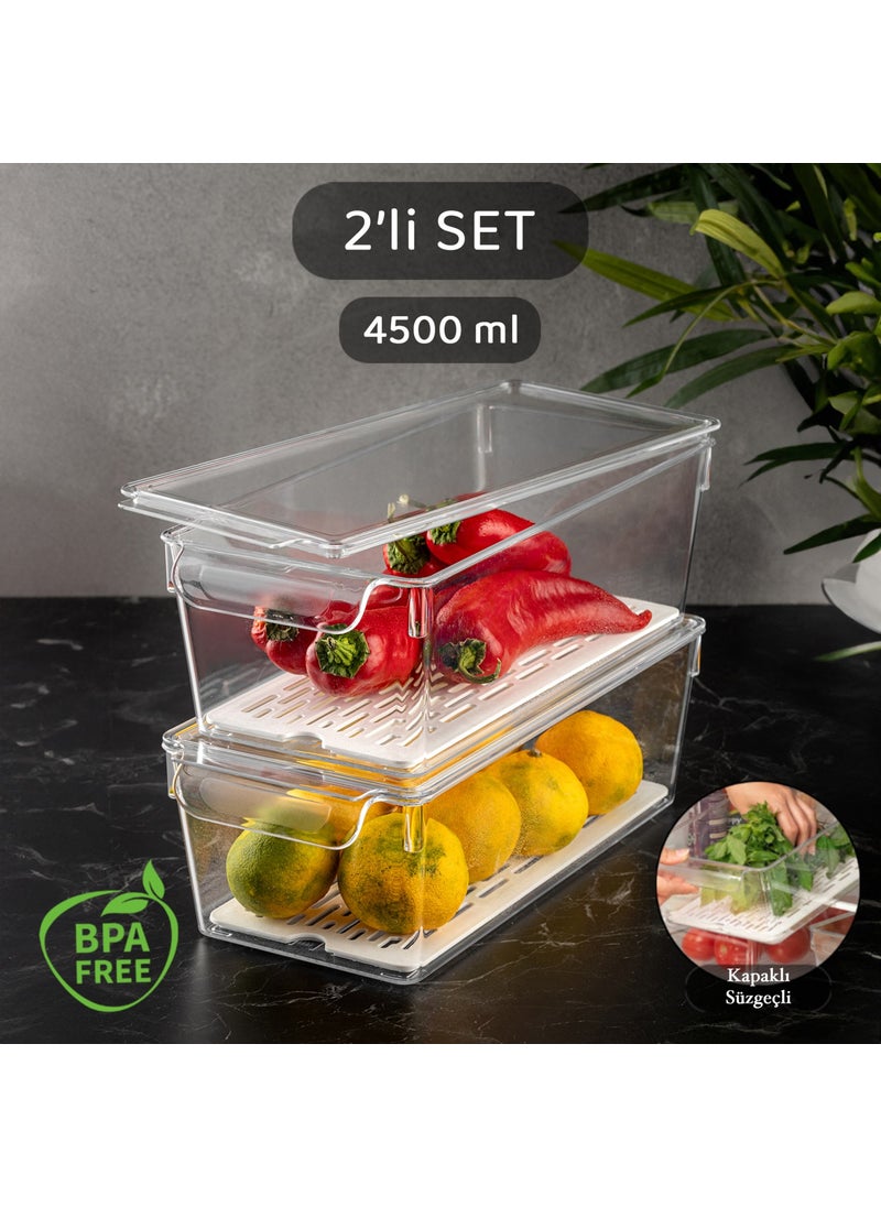 2-Piece Rubby Refrigerator Organizer with Cover and Strainer – Multi-Purpose Refrigerator Organizer 15X32,5X10,5 cm - pzsku/ZAF62F34C58D5E83949DDZ/45/_/1725724075/f96d7088-5d45-4be1-bdbf-fdbccb05a791