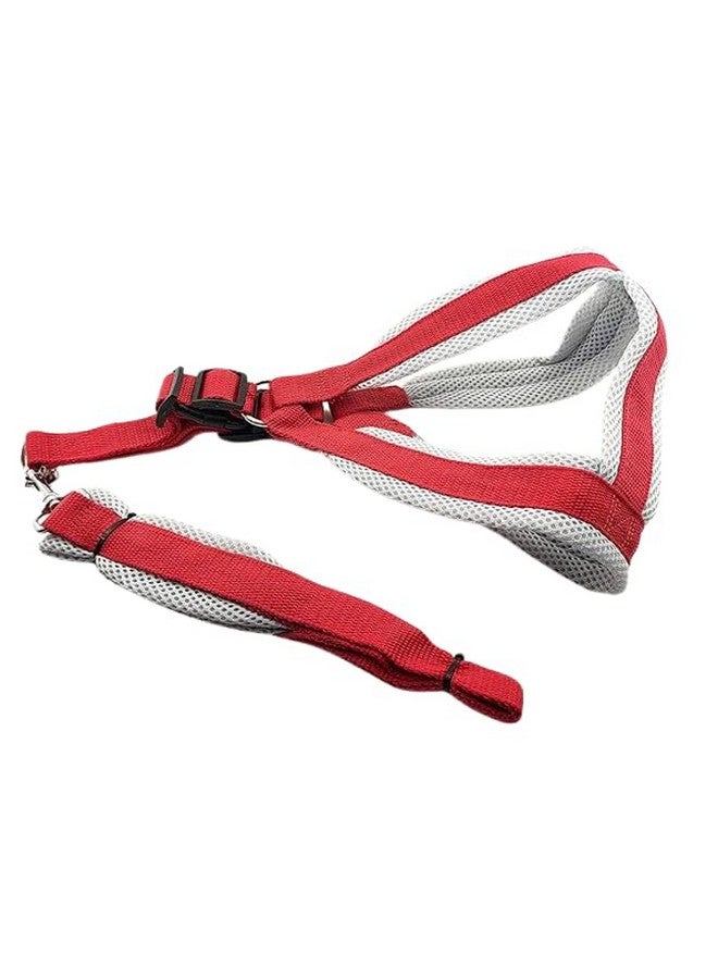Soft Adjustable Basic Nylon Padded 1-Inch Vest Harness And Long Handle Leash Ideal For Outdoor Walking/Training Dogs & Puppies - Red (Large)