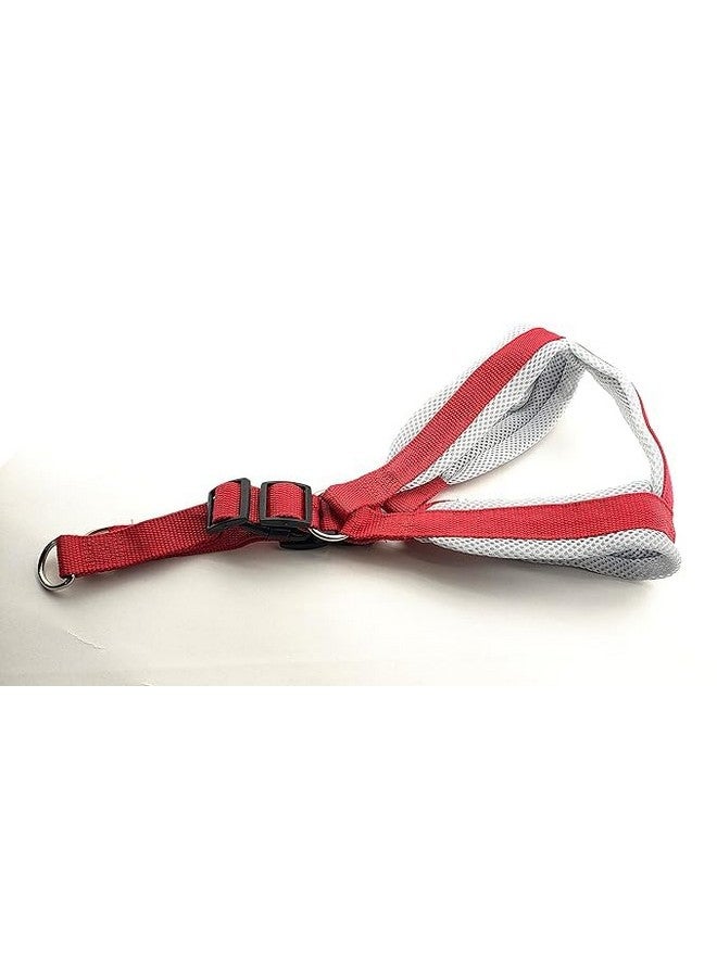 سترة مبطنة من النايلون الناعم وقابلة للتعديل مقاس 1 بوصة ومقود بمقبض طويل مثالي للمشي في الهواء الطلق/تدريب الكلاب والجراء - أحمر (كبير) - Image 2