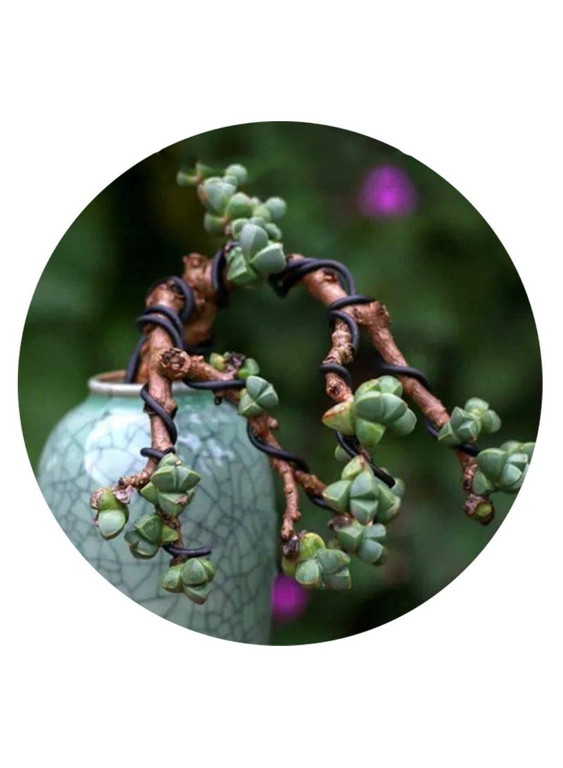 Captaintech 3 Pcs Bonsai Training Wires, Anodized Aluminum Bonsai Training Wires Bonsai Craft Aluminum Wire Bonsai Plant Training Wire for Holding Bonsai Branches Small Trunks (2.0mm, 3.0mm, 4.0mm) - Image 4