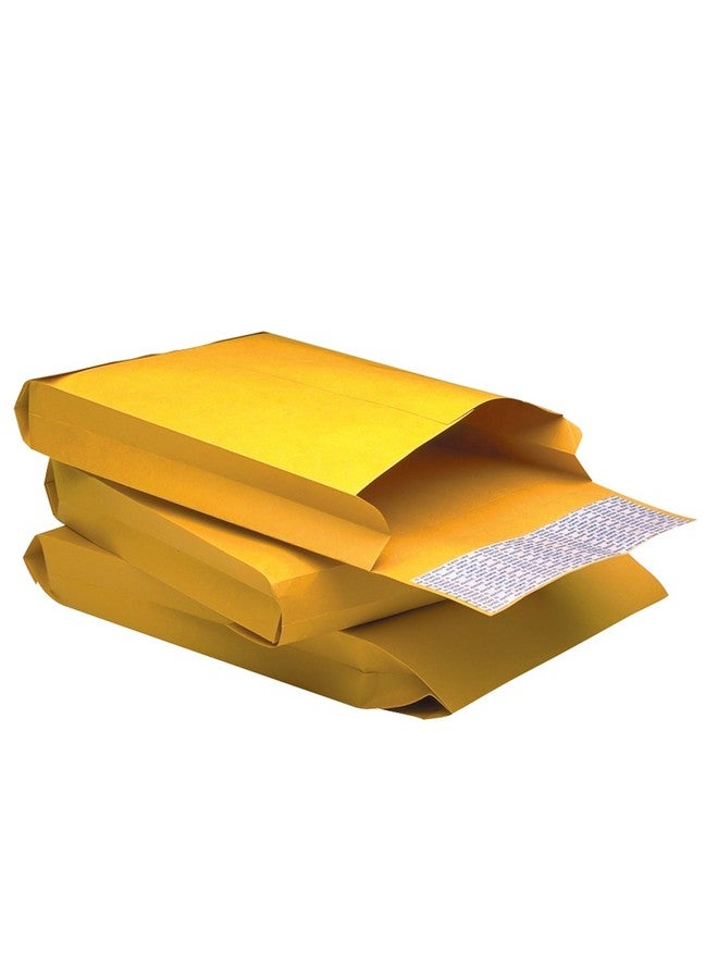 Quality Park Expansion Envelopes, Redi-Strip, Brown Kraft, 9 X 12 X 2, 25 Per Pack, (93334) - Image 1