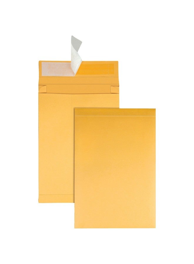 Quality Park Expansion Envelopes, Redi-Strip, Brown Kraft, 9 X 12 X 2, 25 Per Pack, (93334) - Image 2