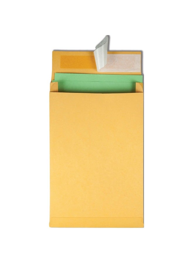 Quality Park Expansion Envelopes, Redi-Strip, Brown Kraft, 9 X 12 X 2, 25 Per Pack, (93334) - Image 4