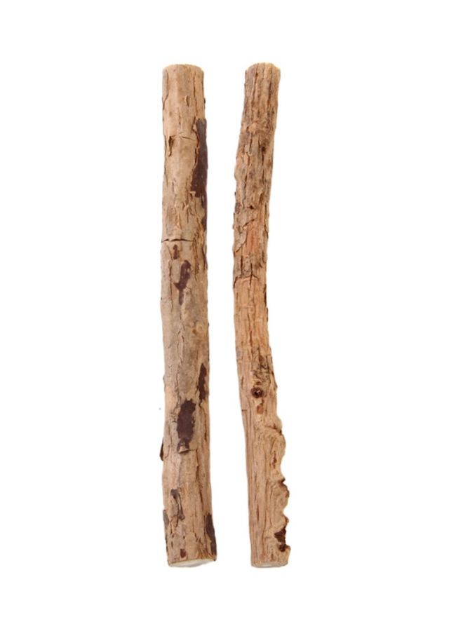 NIBEMINENT 2-Piece Matatabi Catnip Molar Sticks Yellow 17x0.5x3.8cm - Image 1