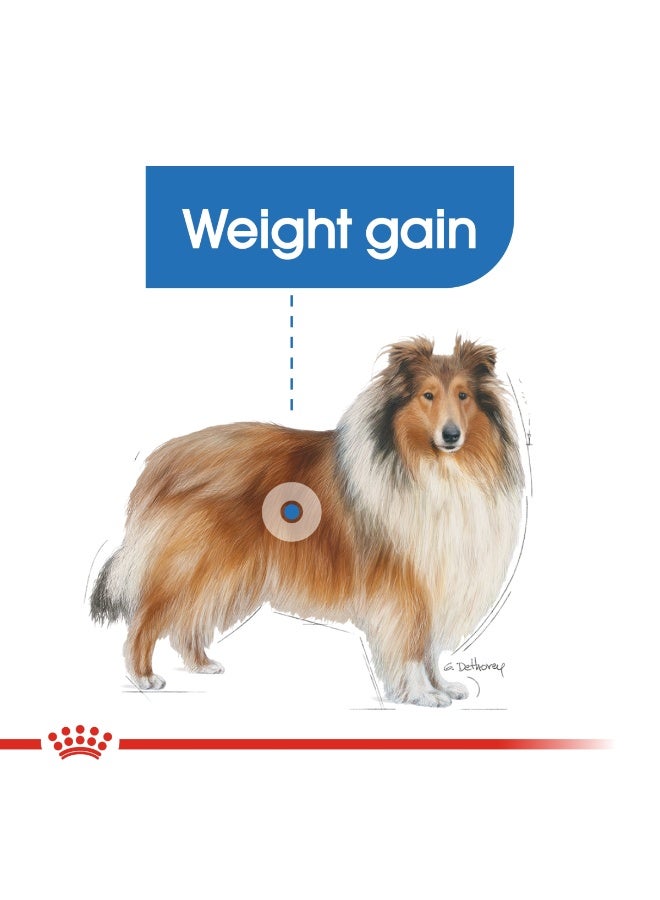 ROYAL CANIN Canine Care Nutrition Maxi Light Weight Care 12 KG - Image 4