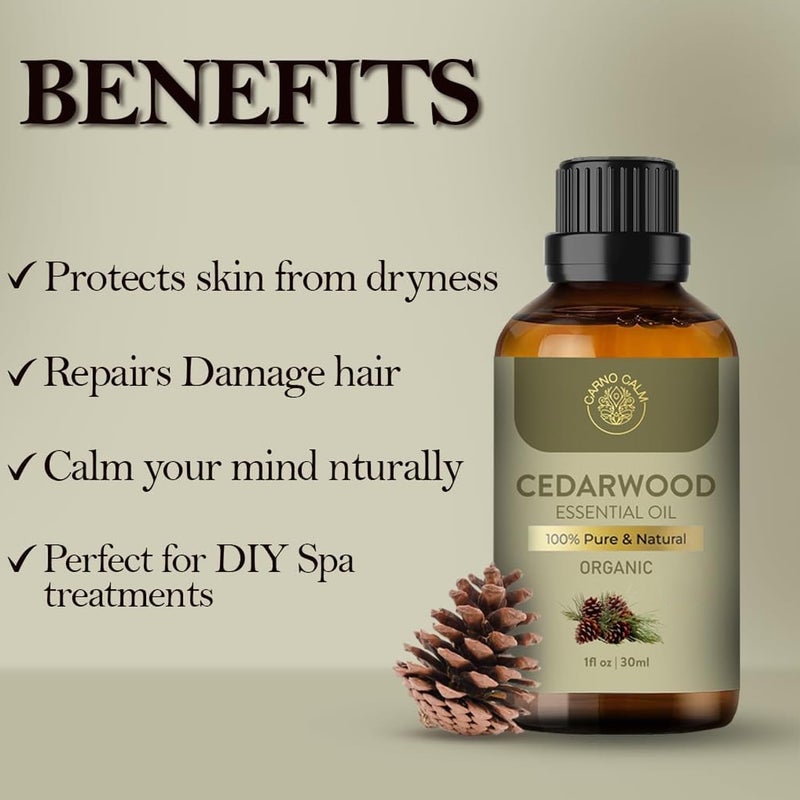 Organic Cedarwood Essential Oil |USDA Certified | Pure & Natural | for Hair Skin Focus Wood | Woody and Earthy Aroma for Clarity | Diffuser Fragrance Oil Soaps Candles | 30ml | 100% pure cedarwood oil with woody, earthy aroma — for diffuser, hair, skin and DIY uses. - Image 5