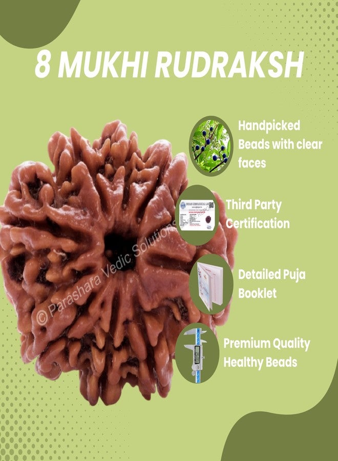 ARKAM Eight Mukhi Rudraksha Certified/Original Nepali 8 Mukhi Rudraksh/Natural 8 Faced Rudraksha (Brown) with Certificate and Puja Instructions - Image 3