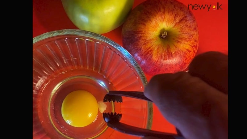 newyolk أداة البيض الأصلية. - Image 3