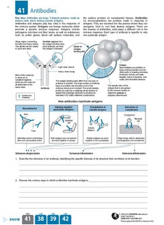 Edexcel Biology 2 A-Level Year 2: Student Workbook 2017  - Image 4
