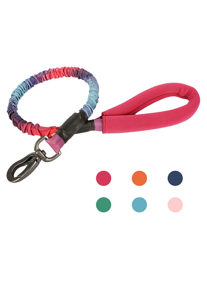 إسكدنيا رسن تدريب للكلاب بمقبض مريح ومبطن أحمر 30x7x5سم - Image 1