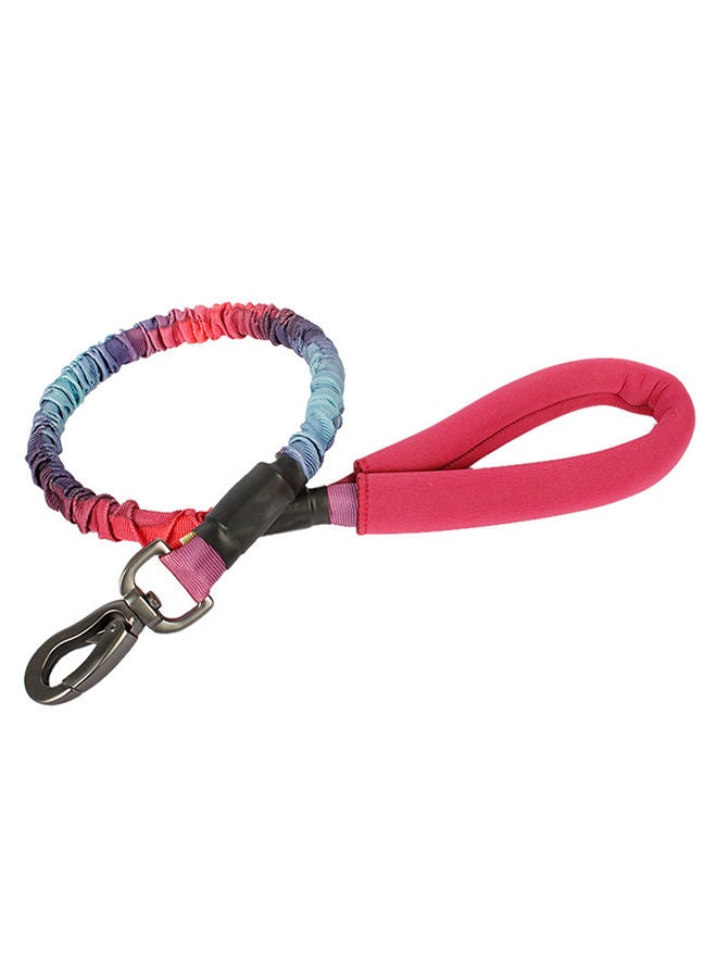 إسكدنيا رسن تدريب للكلاب بمقبض مريح ومبطن أحمر 30x7x5سم - Image 4