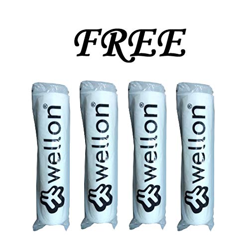 WELLON منقي مياه تجاري عالي TDS 25 LPH مع فلتر قلوى مضاد للبكتيريا من ويلون - Image 2