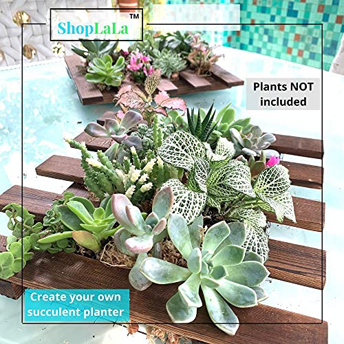 ShopLaLa Wall Planter - 2 Pack Wooden Hanging Succulent Wall Decor, Live Air Plants Orchids Wall Mounted Holder Frame Display for Indoor Outdoor, Living Plant Wall Decor Balcony Garden - Image 3
