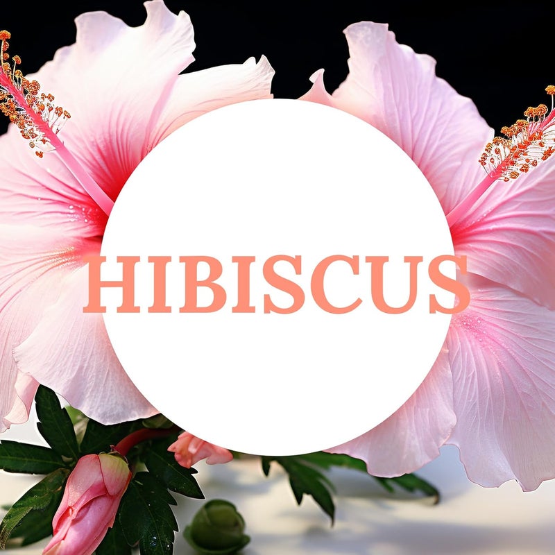 DEYBBY Natural Hibiscus Orchid Scented Soy Wax Tealight Candles Bulk, Aromatherapy Luxury Tea Candle Set of 36-4 Hour Burning Great Gift - Image 3