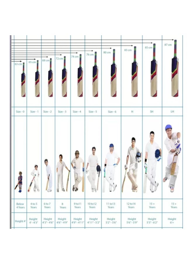 MRF Xstorm Kashmir Willow Cricket Bat - Junior Size 5 (Five) - Image 2