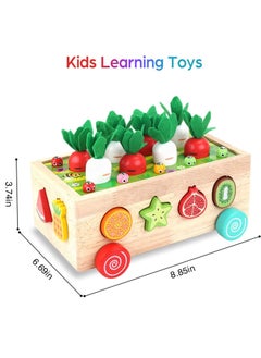 YelaJoy Wooden Educational Toys for Baby Boys Girls Age 2 3 4 Year Old, Shape Sorting Toys Gifts for Kids 2-4, Wood Preschool Learning Fine Motor Skills Game  - Image 2