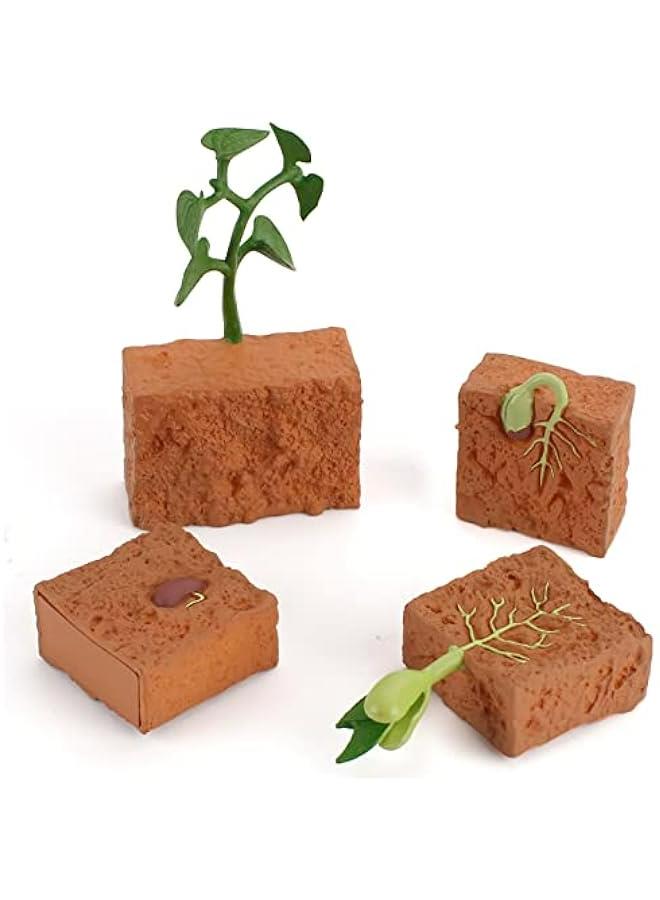 4 Pieces Farm Plant Life Cycle Figures Set for Kids Educational Development Decor Toys - Image 1