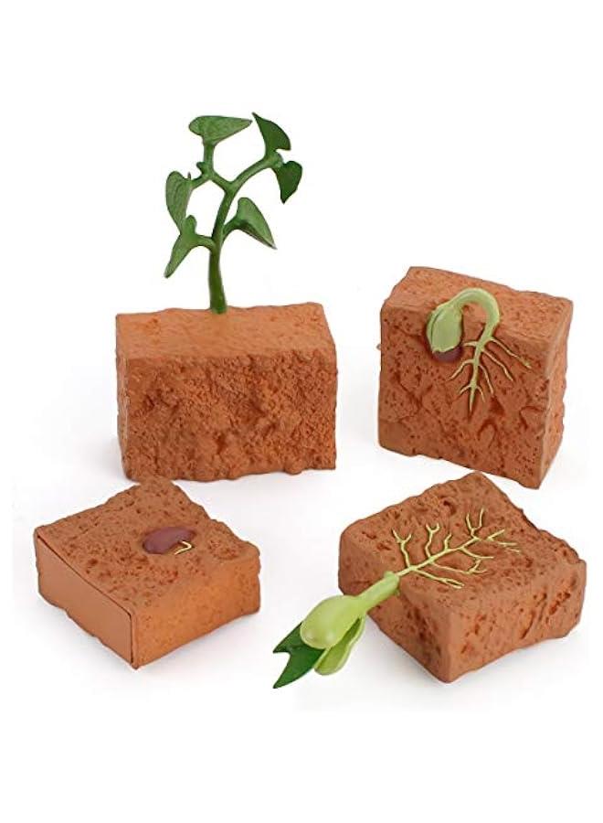 4 Pieces Farm Plant Life Cycle Figures Set for Kids Educational Development Decor Toys - Image 2