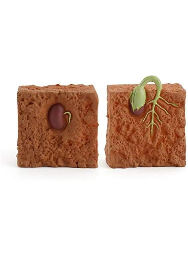 4 Pieces Farm Plant Life Cycle Figures Set for Kids Educational Development Decor Toys - Image 3