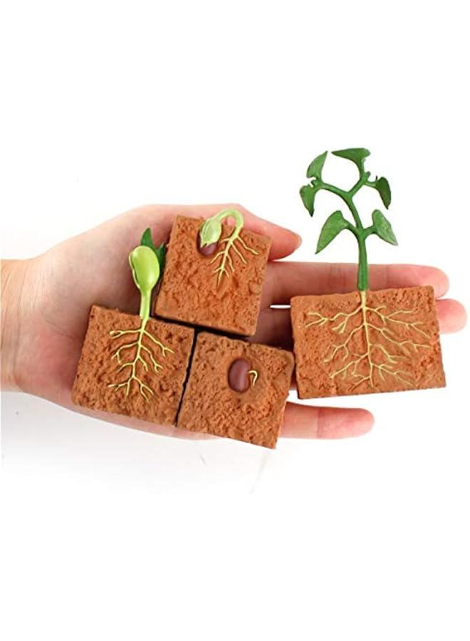4 Pieces Farm Plant Life Cycle Figures Set for Kids Educational Development Decor Toys - Image 4