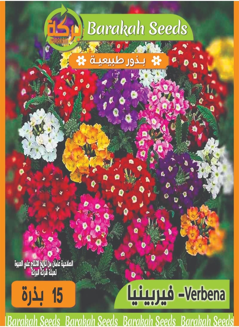 Generic High Germination Flower Seeds - Verbena 