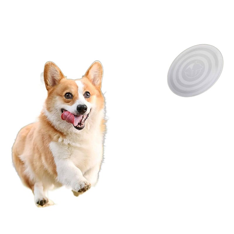 Collapsible Pet Bowl Silicone 350 L Portable with Design Travel Design and Silicone Build for dogs cats walks and outdoor feeding Orange On The - Image 3