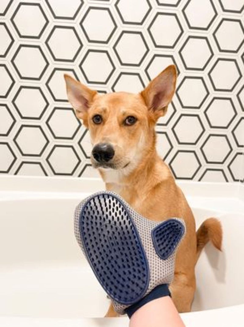 four paws Magic Coat Professional Series Love Glove Dog Grooming Mitt - Image 2